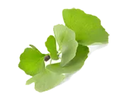 Ingrediente_3